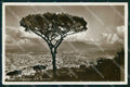 Napoli Città Veduta da San Martino Vesuvio Foto cartolina MX7910 – fronte