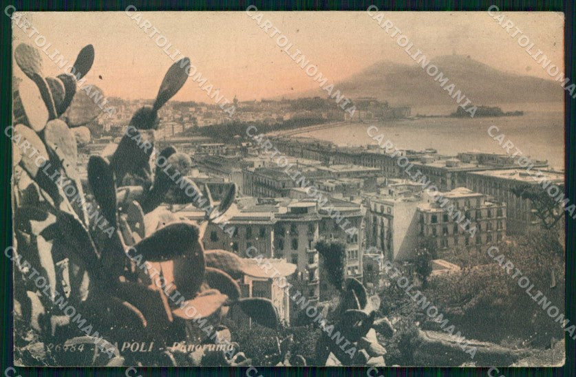 Napoli Città Veduta Generale Vesuvio PIEGHINA cartolina MX8115 – fronte