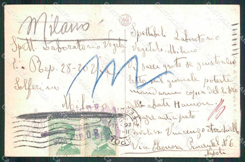 Napoli Città Veduta Generale Vesuvio PIEGHINA cartolina MX8119 – retro