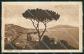 Napoli Città Veduta Generale Vesuvio ABRASA cartolina MX8135 – fronte