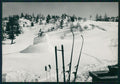 Cuneo Limone Piemonte Pian del Sole Nevicata Sci Foto FG cartolina MZ0163 – fronte