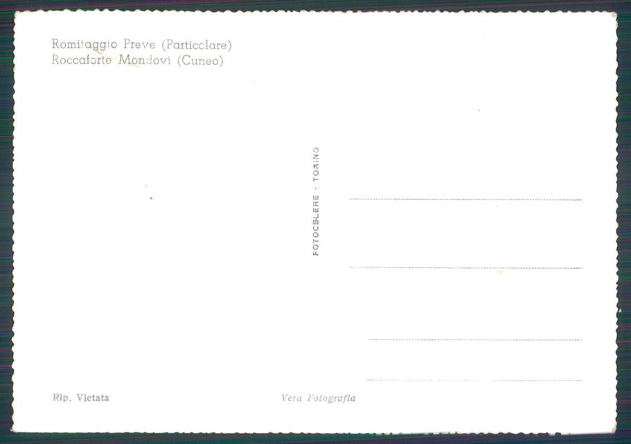 Cuneo Roccaforte Mondovì Foto FG cartolina MZ0294 – retro