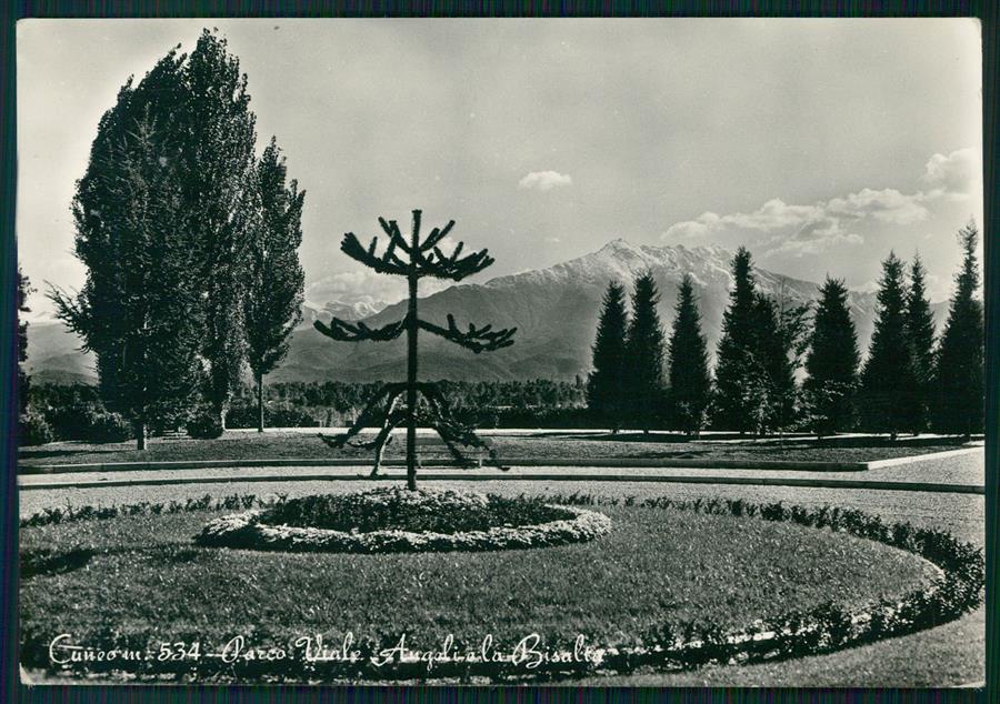 Cuneo città Foto FG cartolina MZ0391 – fronte