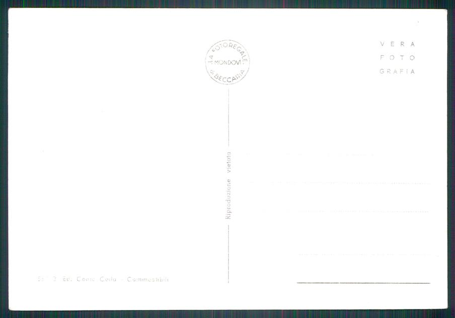 Cuneo Stroppo Capoluogo Foto FG cartolina MZ0517 – retro