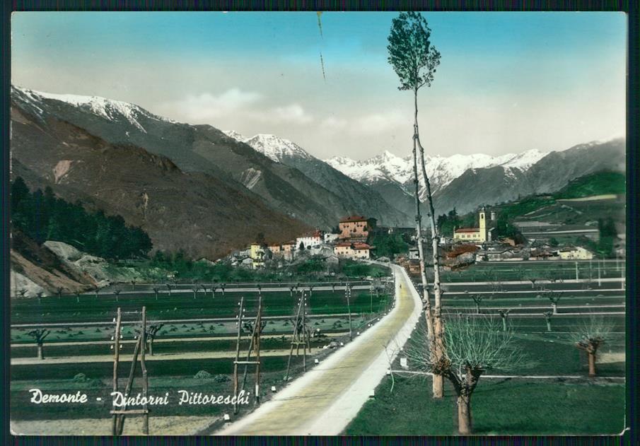 Cuneo Demonte Foto FG cartolina MZ0582 – fronte