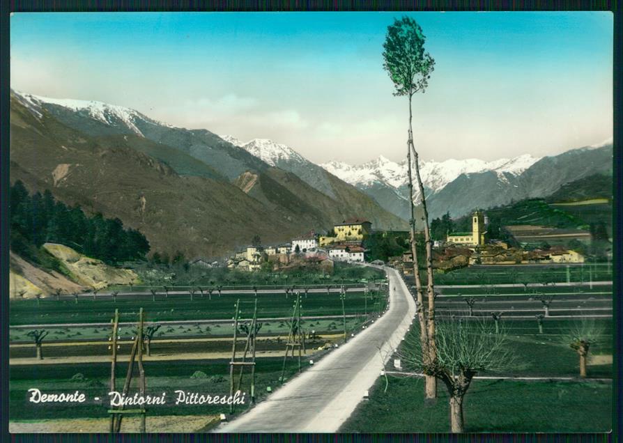 Cuneo Demonte Foto FG cartolina MZ0583 – fronte