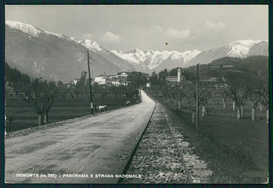 Cuneo Demonte Foto FG cartolina MZ0584 – fronte