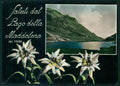 Cuneo Argentera Lago Maddalena Saluti da Stelle Alpine Foto FG cartolina MZ0663 – fronte