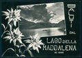 Cuneo Argentera Lago Maddalena Saluti da Stelle Alpine Foto FG cartolina MZ0664 – fronte