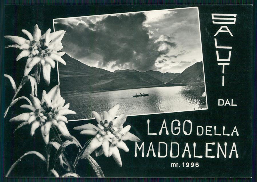 Cuneo Argentera Lago Maddalena Saluti da Stelle Alpine Foto FG cartolina MZ0664 – fronte
