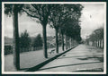 Cuneo città Giardini Foto FG cartolina MZ0788 – fronte