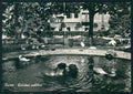 Cuneo città Giardini Pubblici Cigni Foto FG cartolina MZ0790 – fronte