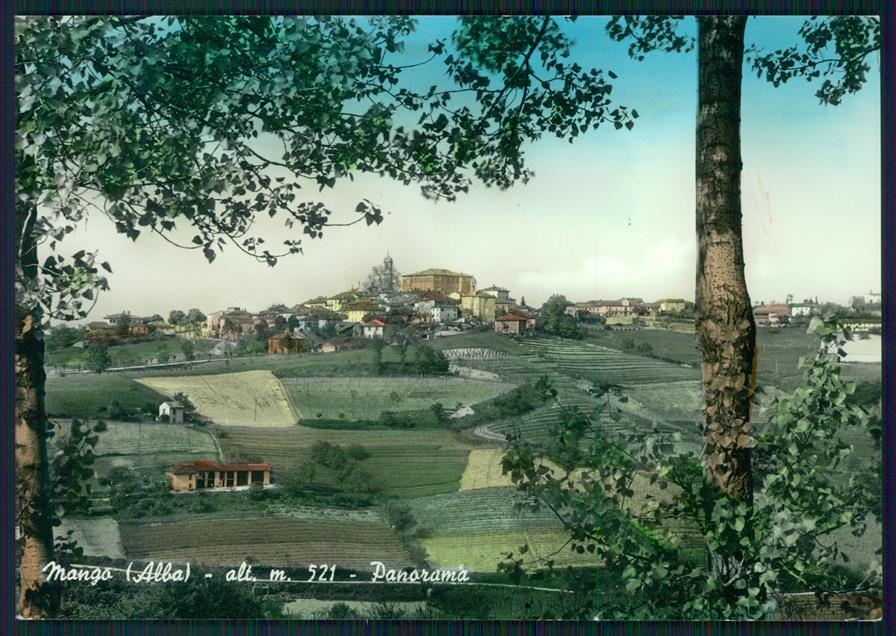 Cuneo Mango Foto FG cartolina MZ0843 – fronte