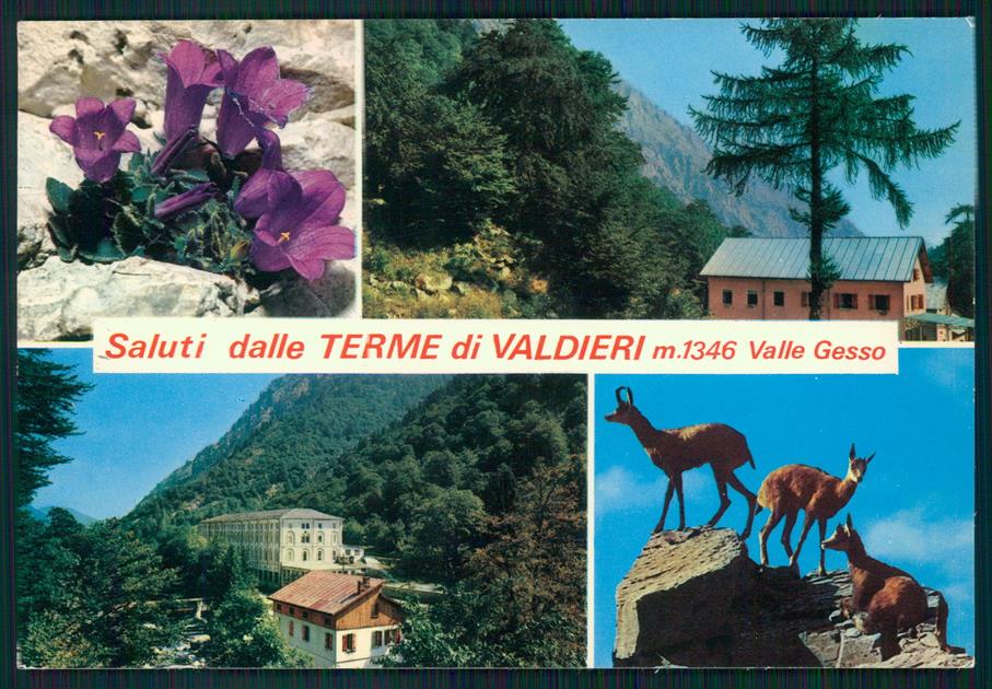 Cuneo Valdieri Terme di Saluti da Caprioli Foto FG cartolina MZ0991 – fronte