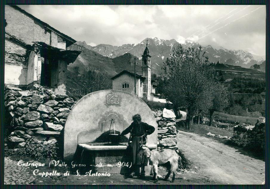 Cuneo Entracque Valle Gesso Cappella Sant'Antonio Capra Foto FG cartolina MZ0997 – fronte