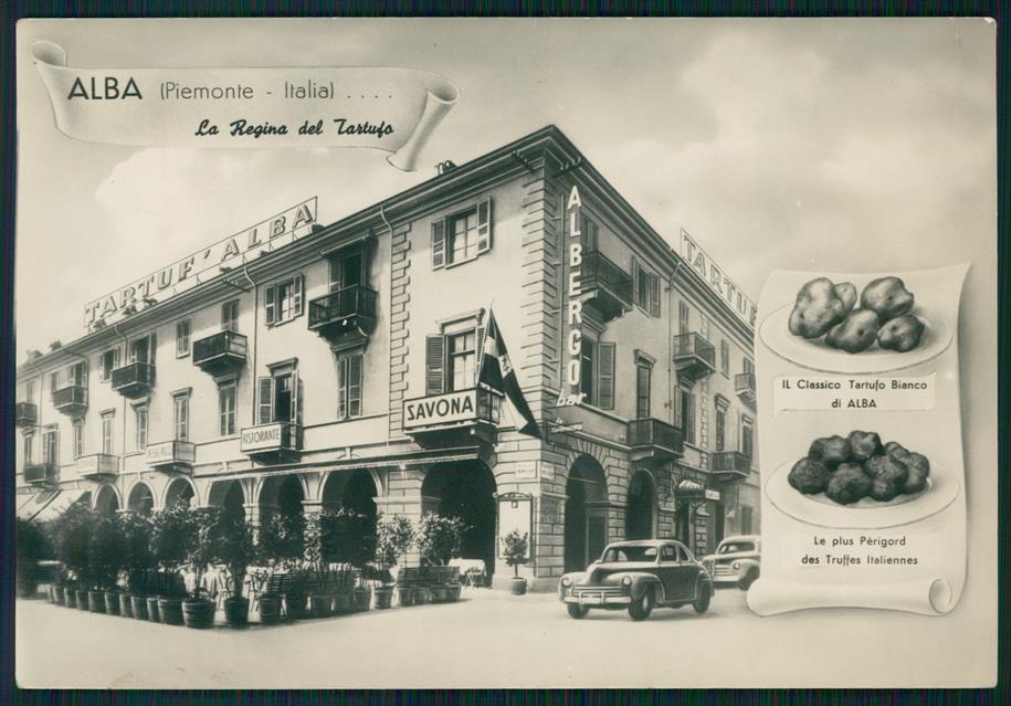 Cuneo Alba Tartufi Foto FG cartolina MZ1060 – fronte