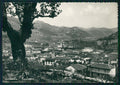 Cuneo Cortemilia Foto FG cartolina MZ1080 – fronte