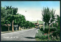 Cuneo Caraglio Foto FG cartolina MZ1279 – fronte