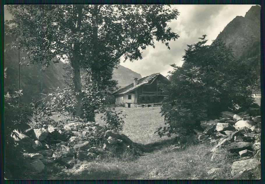 Cuneo Caraglio Foto FG cartolina MZ1313 – fronte