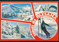 Cuneo Paesana Saluti da Sci Foto FG cartolina MZ1623 – fronte