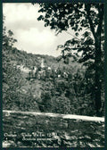 Cuneo Oncino Alta Valle Po Foto FG cartolina MZ1705 – fronte