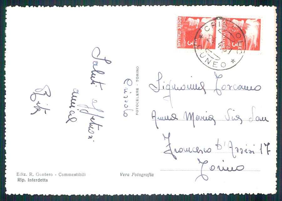 Cuneo Crissolo Alta Valle Po Foto FG cartolina MZ1708 – retro