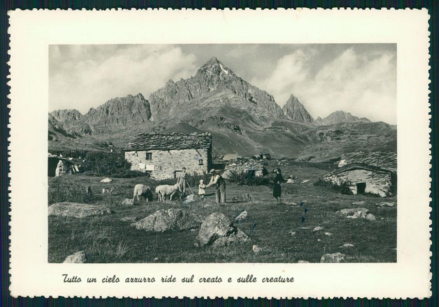Cuneo Paesana Monviso Visolotto Monte Tivoli Pecore Foto FG cartolina MZ1726 – fronte