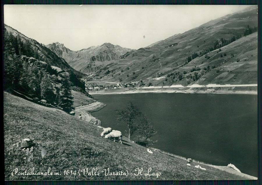 Cuneo Pontechianale Lago di Pecore Foto FG cartolina MZ1804 – fronte