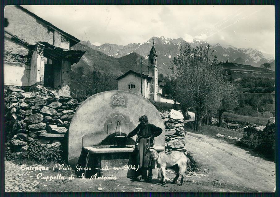 Cuneo Entracque Fontana Capra Foto FG cartolina MZ1864 – fronte