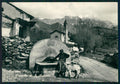 Cuneo Entracque Fontana Capra Foto FG cartolina MZ1864 – fronte