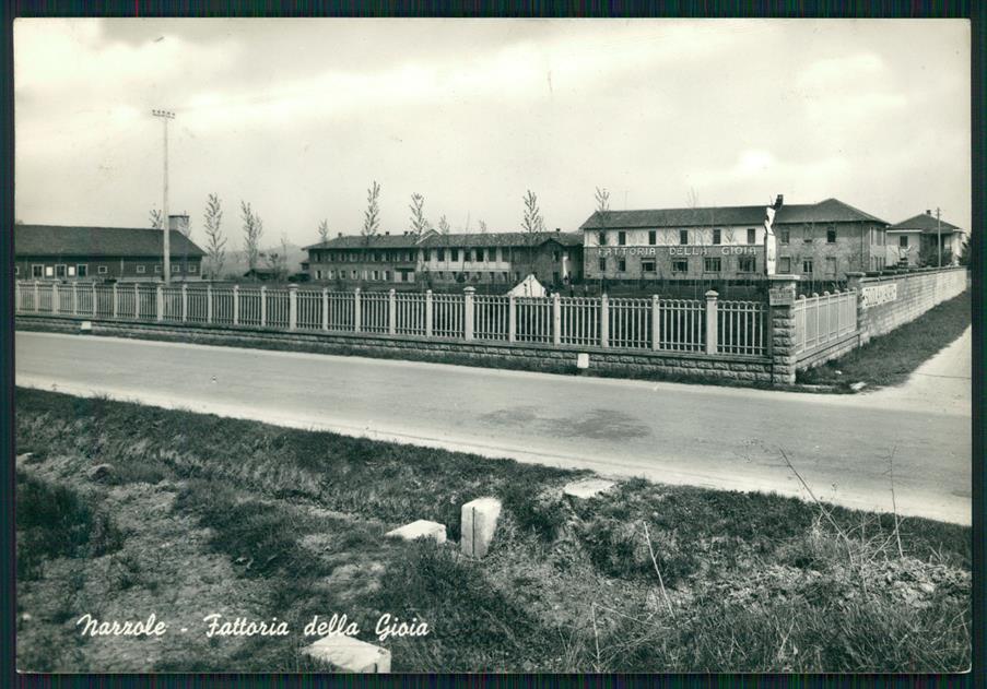 Cuneo Narzole Fattoria della Gioia Foto FG cartolina MZ1880 – fronte