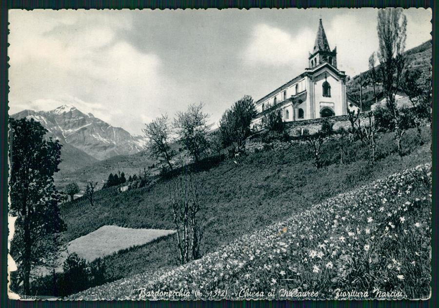 Torino Bardonecchia Narcisi ABRASA FORO Foto FG cartolina MZ1964 – fronte