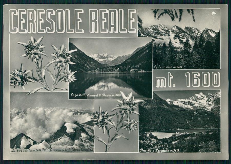 Torino Ceresole Reale Mappa Stelle Alpine FORI Foto FG cartolina MZ1967 – fronte