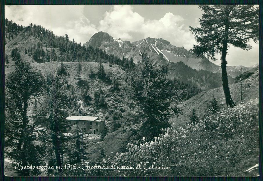 Torino Bardonecchia Narcisi Calomion PIEGHINA Foto FG cartolina MZ1990 – fronte