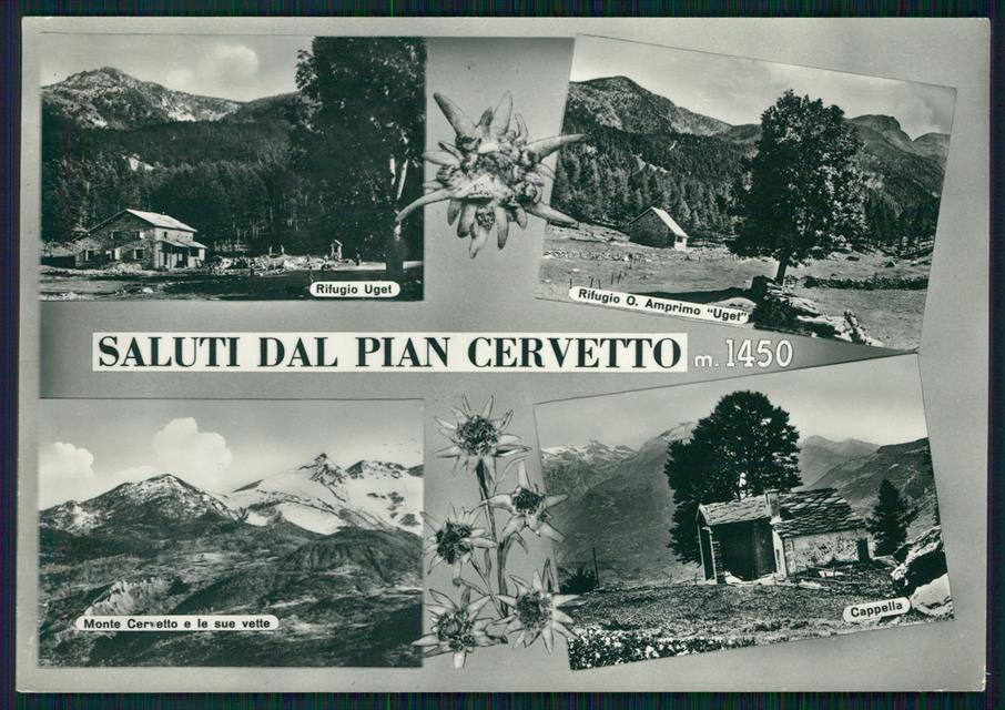 Torino Bussoleno Pian Cervetto Saluti da Foto FG cartolina MZ1995 – fronte