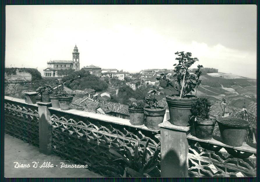 Cuneo Diano d'Alba Foto FG cartolina MZ2022 – fronte