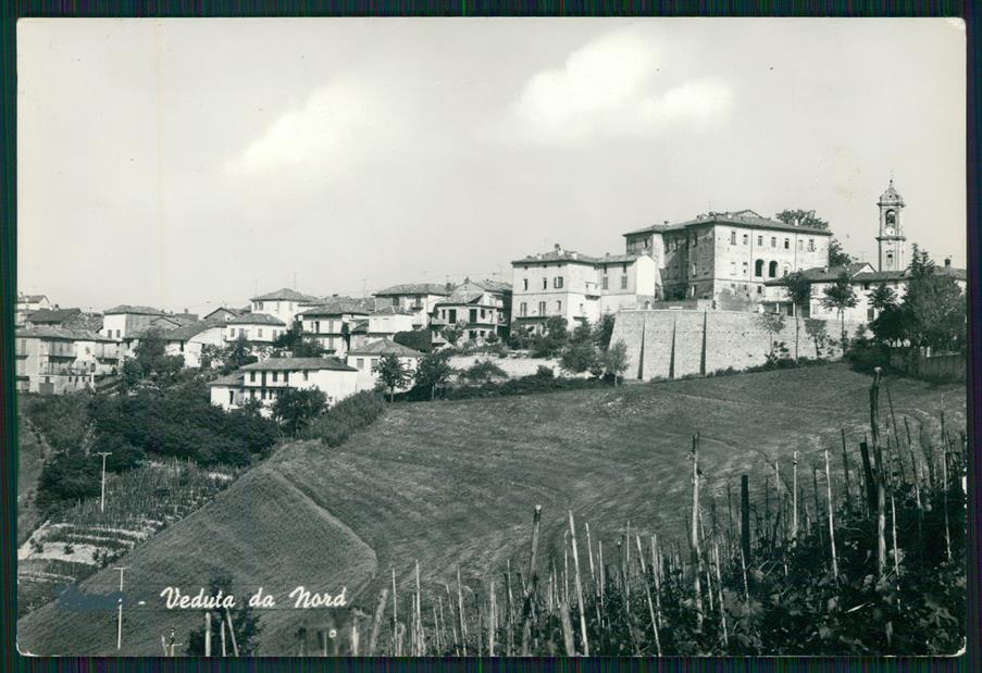 Cuneo Mango Foto FG cartolina MZ2051 – fronte