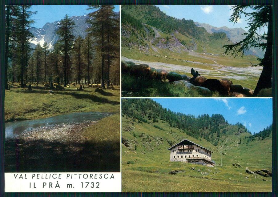 Torino Alta Val Pellice Il Prà Foto FG cartolina MZ2317 – fronte