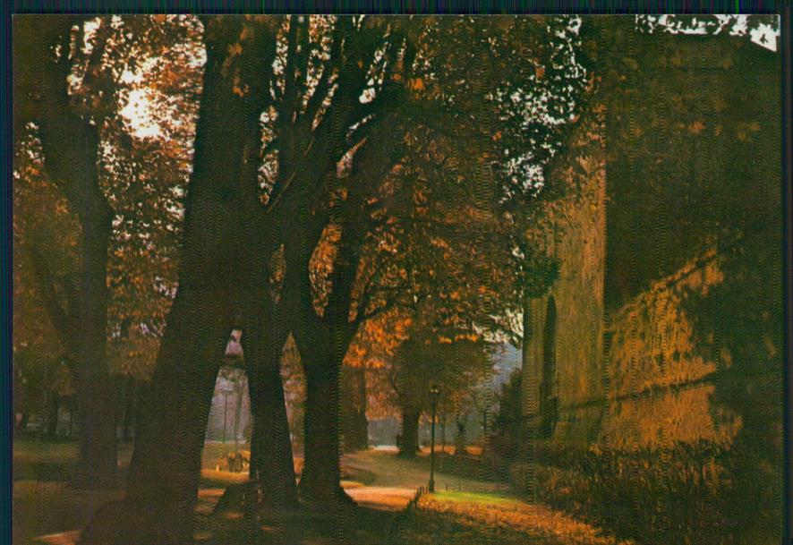 Torino città La Cittadella Foto FG cartolina MZ2413 – fronte