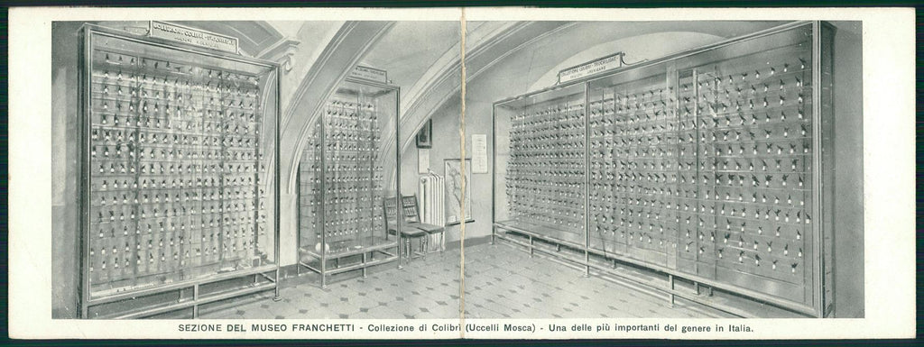 Torino città Museo Franchetti Colibrì Ornitologia Doppia FG cartolina MZ2822 – fronte