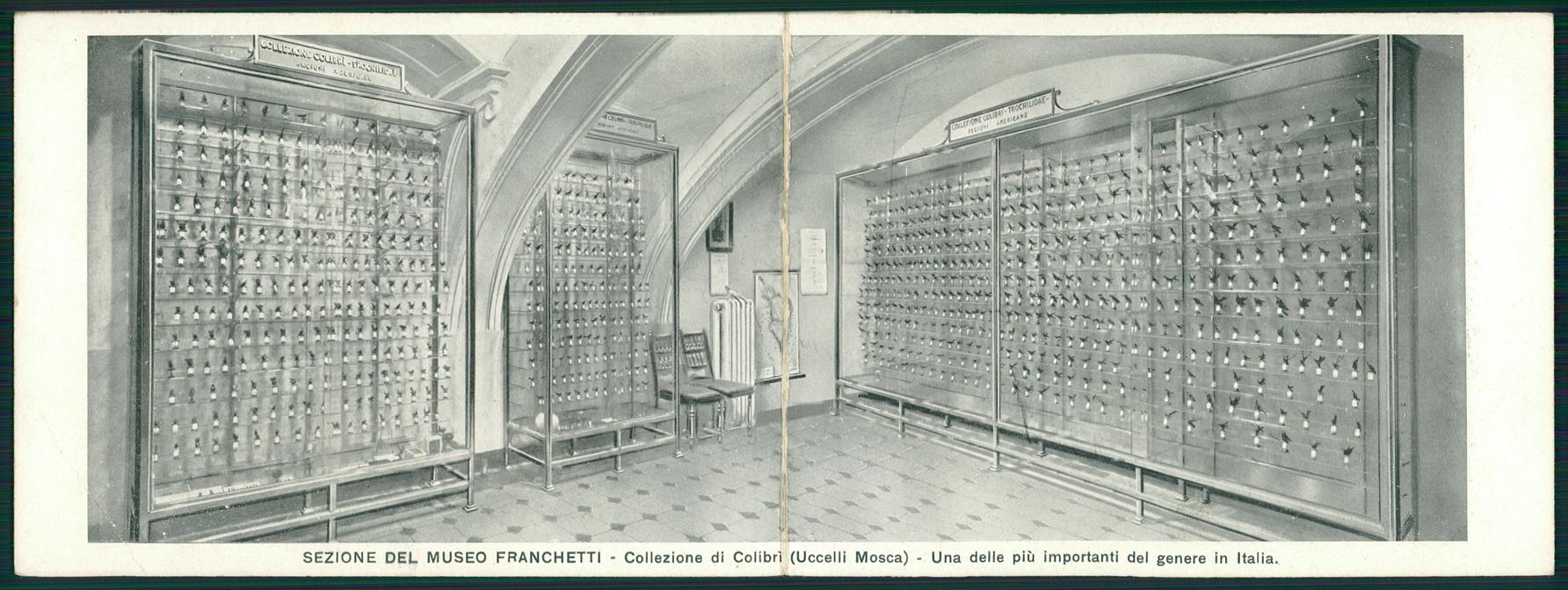 Torino città Museo Franchetti Colibrì Ornitologia Doppia FG cartolina MZ2822 – fronte