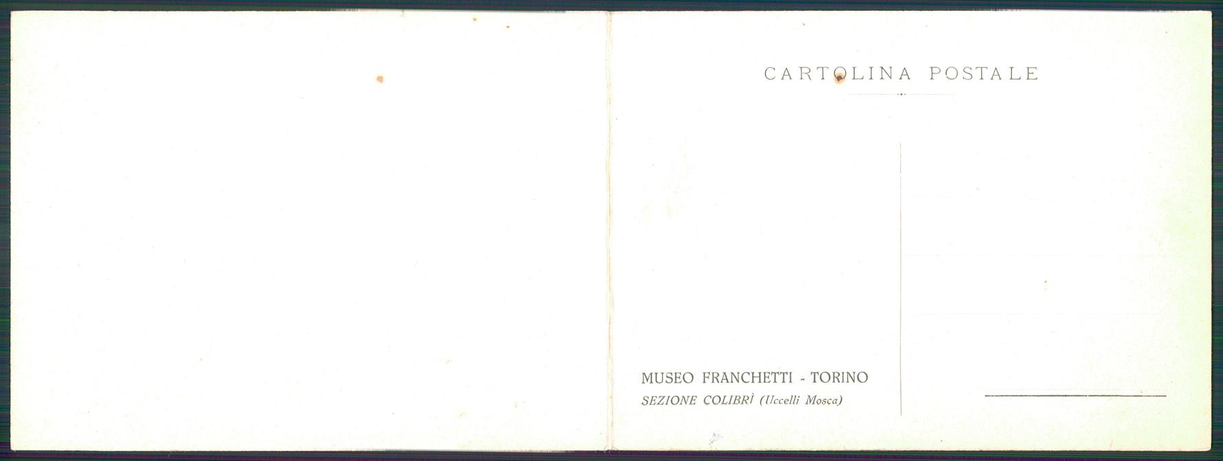 Torino città Museo Franchetti Colibrì Ornitologia Doppia FG cartolina MZ2822 – retro
