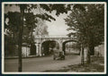 Torino città Sottopassaggio Giardino Reale Foto FG cartolina MZ2991 – fronte