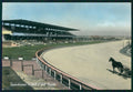 Torino città Ippodromo Cavallo Foto FG cartolina MZ3165 – fronte