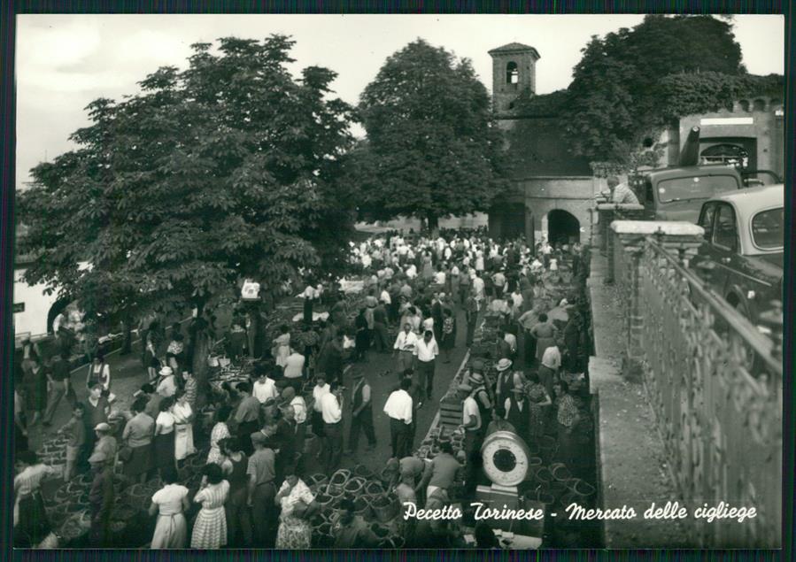 Torino Pecetto Torinese Mercato delle Ciliegie Foto FG cartolina MZ3343 – fronte