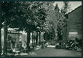 Torino Rubiana Giardini Pubblici Foto FG cartolina MZ3774 – fronte