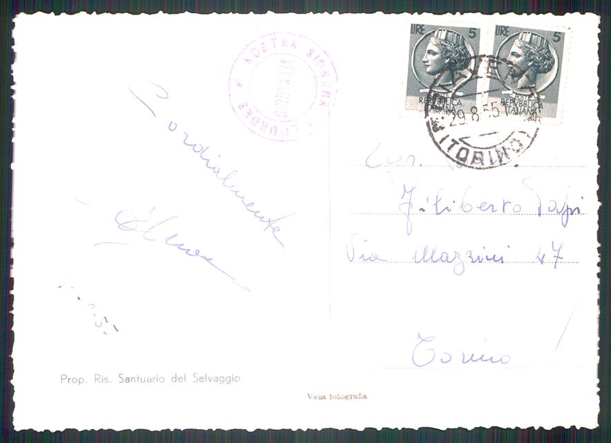 Torino Giaveno Selvaggio Santuario Foto FG cartolina MZ3819 – retro