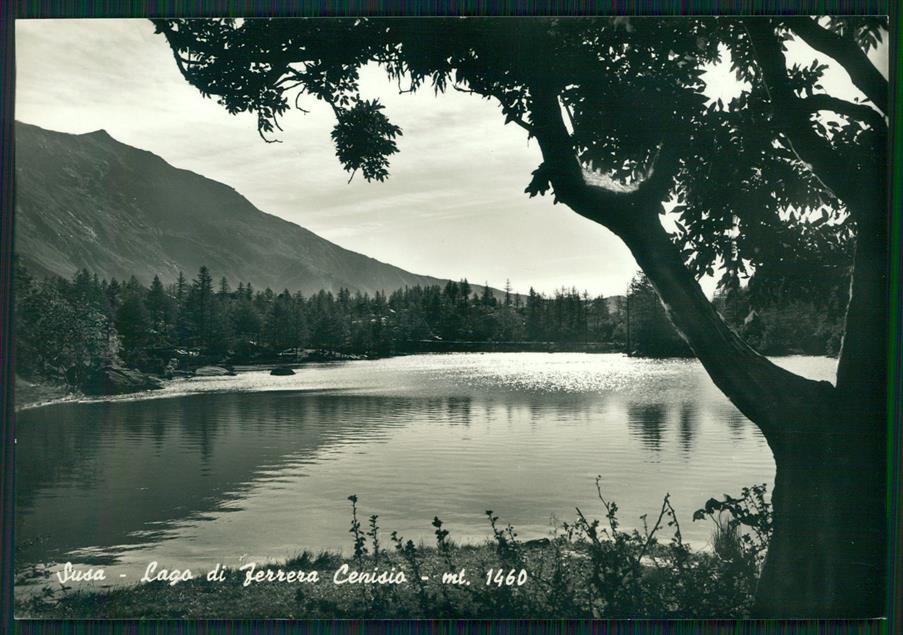 Torino Susa Lago di Ferrera Cenisio Foto FG cartolina MZ3882 – fronte