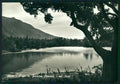 Torino Susa Lago di Ferrera Cenisio Foto FG cartolina MZ3882 – fronte