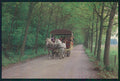 Torino Venaria Reale Parco Regionale Mandria Carrozza Foto FG cartolina MZ3962 – fronte